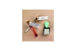 trodat Creative Mini/V4 Pastell Grün 1129