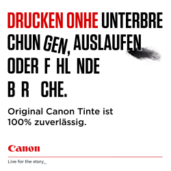 Patrone Canon PG-545/CL-546 + Fotopapier