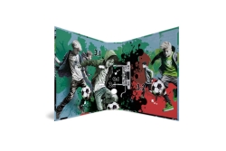 HERMA Ordner Street Soccer