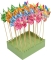 Display Windrad