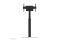 Neomounts BOS 37-75 1TFT Höhenverstellb. sw Max.70KG 1/2