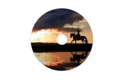 DVD+R Verbatim 8,5GB 25pcs Pack double 8x Spindel wide print retail