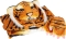 Kostüm Tiger