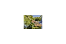Gardena Drucksprüher 5 L Plus