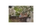 Gardena MDS Regulierbarer Endtropfer 0-15 l/h - 10 Stk