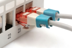 DIGITUS Farbclips für Patchkabel RJ45 100 Stück blau