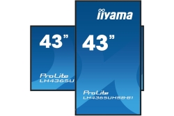 IIYAMA 108cm (43) LH4365UHSB-B1 16:9 2xHDMI+DP+2xUSB IPS retail
