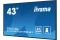 IIYAMA 108cm (43) LH4365UHSB-B1 16:9 2xHDMI+DP+2xUSB IPS retail