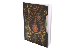 ThumbsUP! Notizbuch - Harry Potter